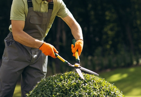 Gardening Services